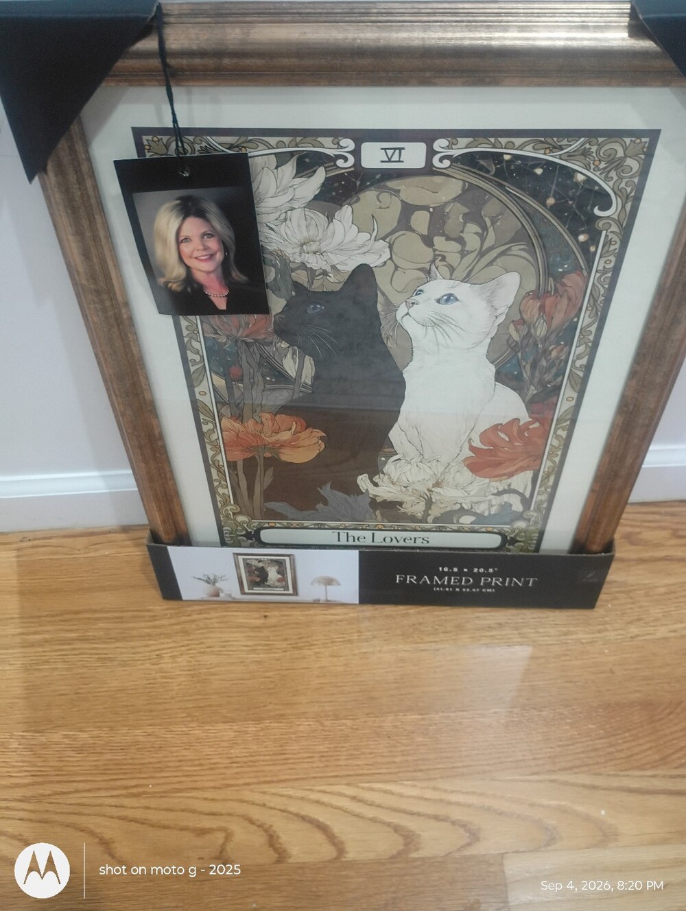 The Lovers Cat Tarot Card Framed Wall Art Gold Beaded 16 X 20